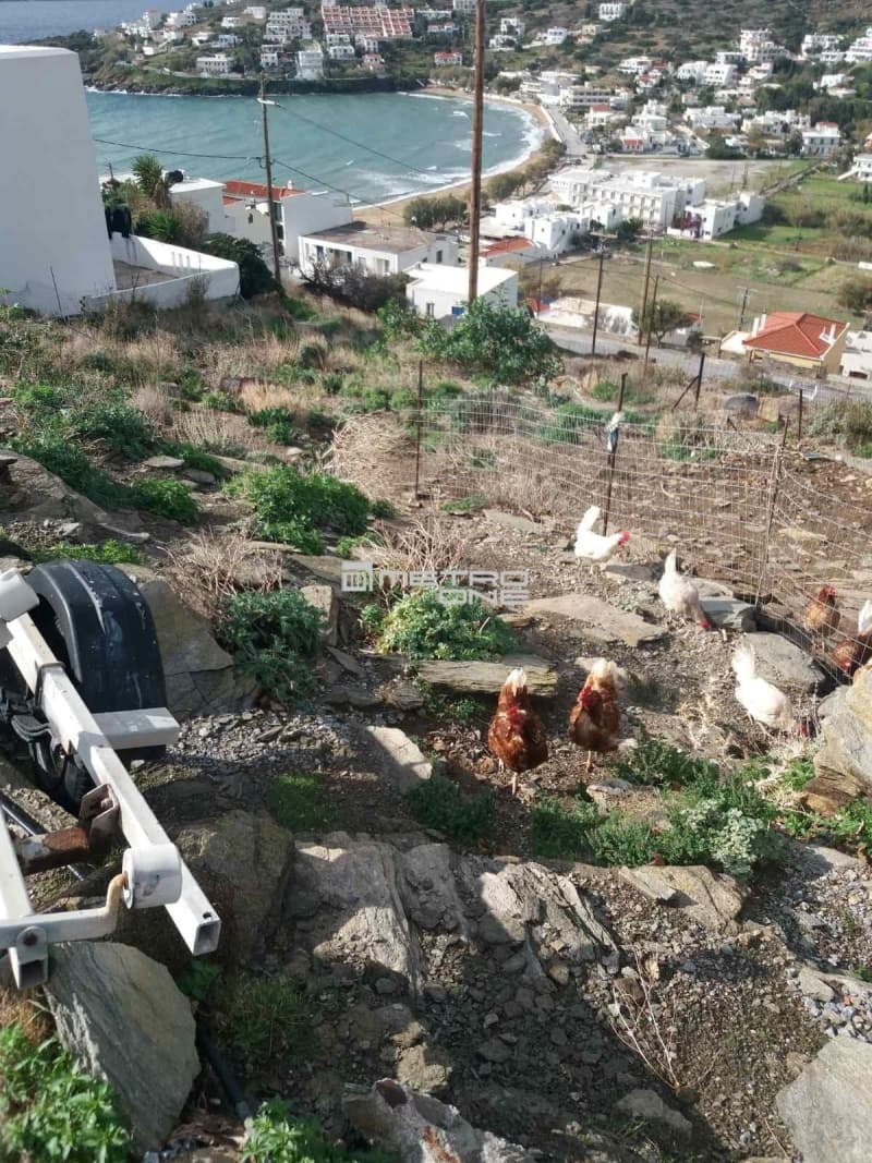 Οικόπεδο στην Μπατσί, Άνδρος — Φωτογραφία 9 από 11