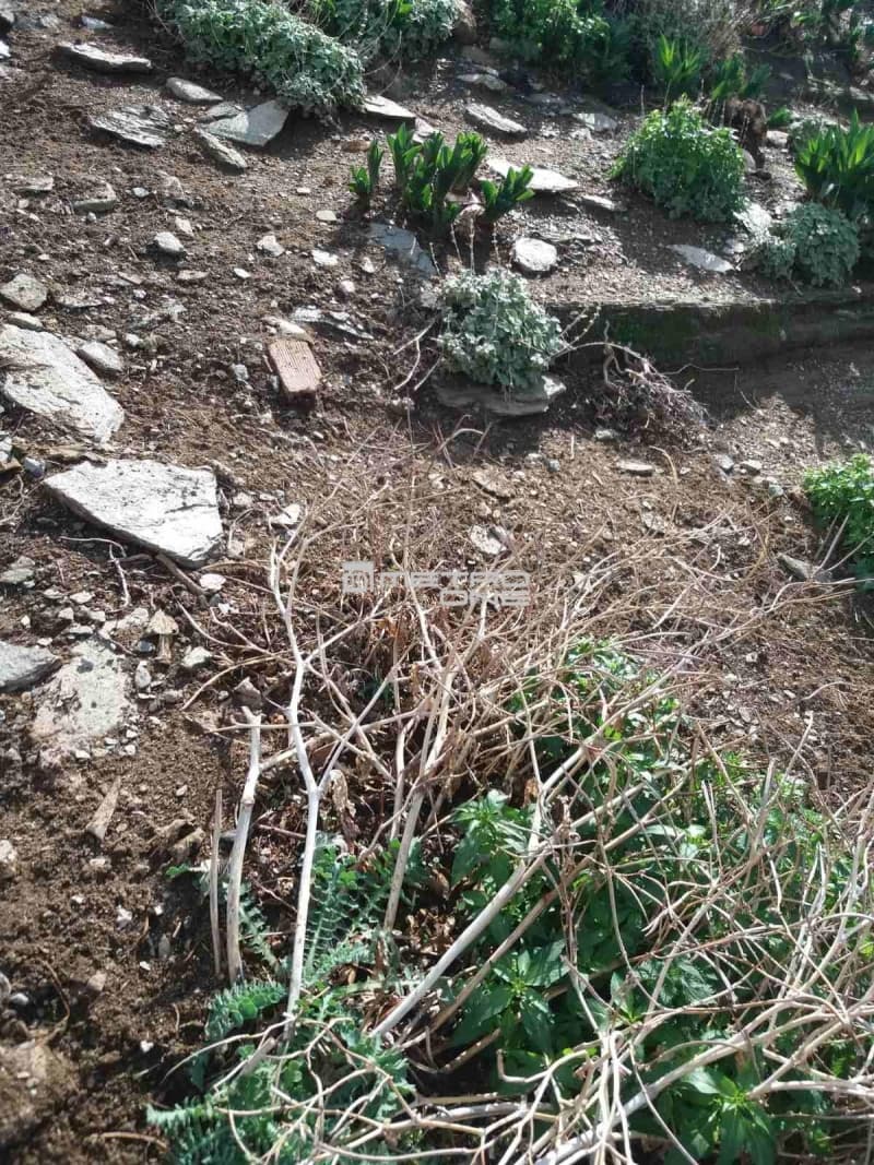 Οικόπεδο στην Μπατσί, Άνδρος — Φωτογραφία 11 από 11