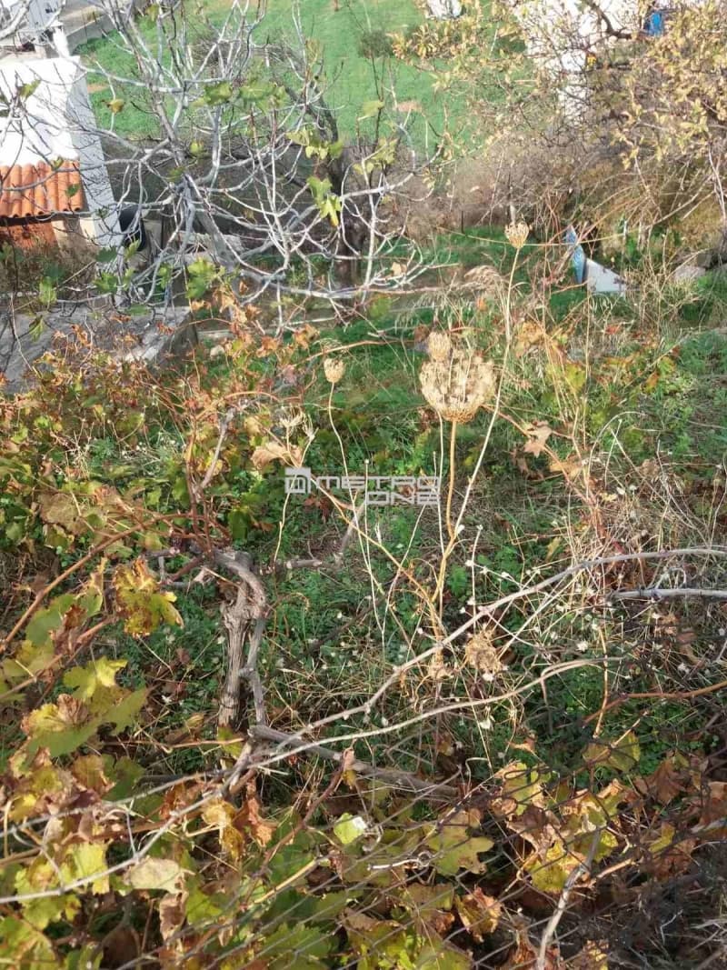 Οικόπεδο στην Μπατσί, Άνδρος — Φωτογραφία 9 από 15