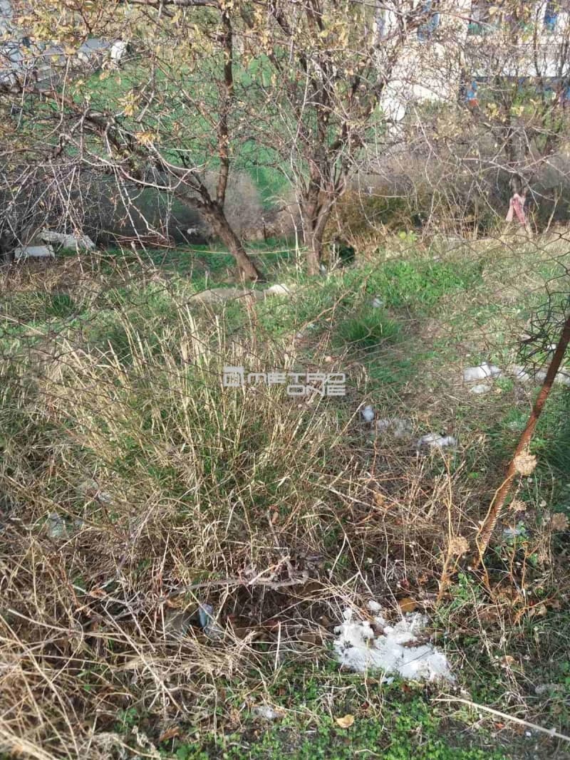 Οικόπεδο στην Μπατσί, Άνδρος — Φωτογραφία 10 από 15
