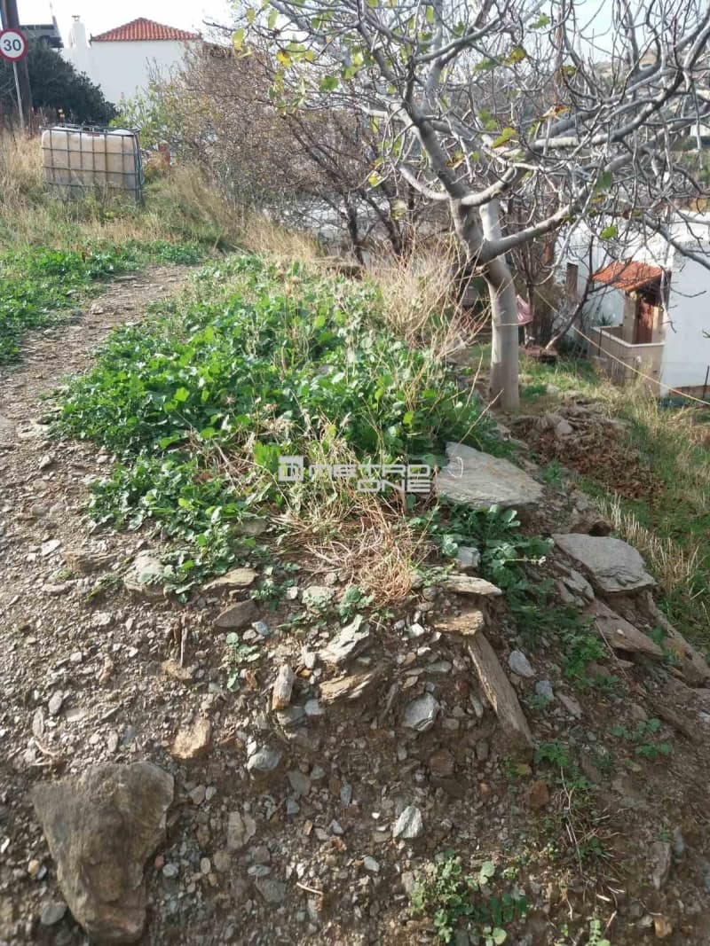 Οικόπεδο στην Μπατσί, Άνδρος — Φωτογραφία 14 από 15