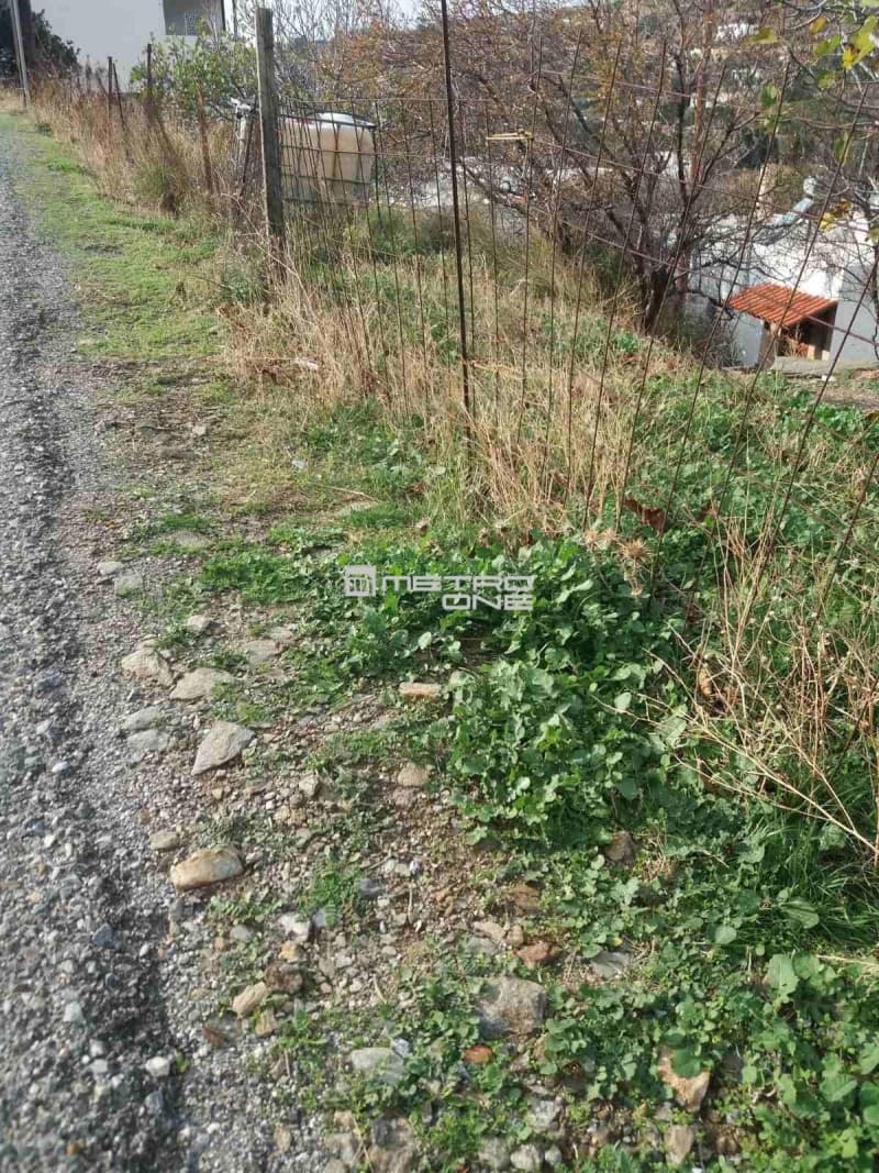 Οικόπεδο στην Μπατσί, Άνδρος — Φωτογραφία 15 από 15
