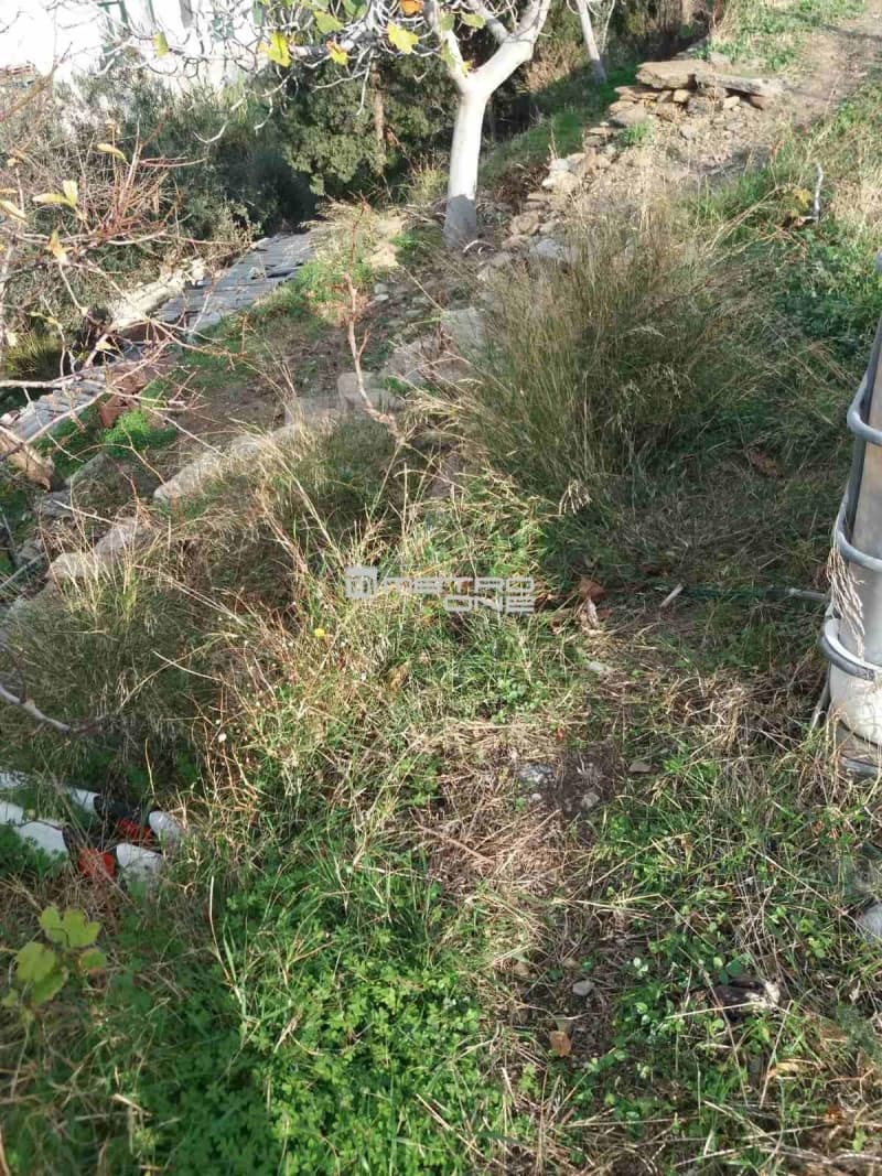 Οικόπεδο στην Μπατσί, Άνδρος — Φωτογραφία 2 από 15