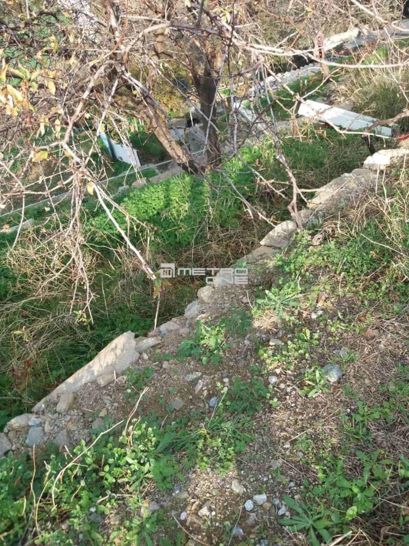 Οικόπεδο στην Μπατσί, Άνδρος — Φωτογραφία 6 από 15