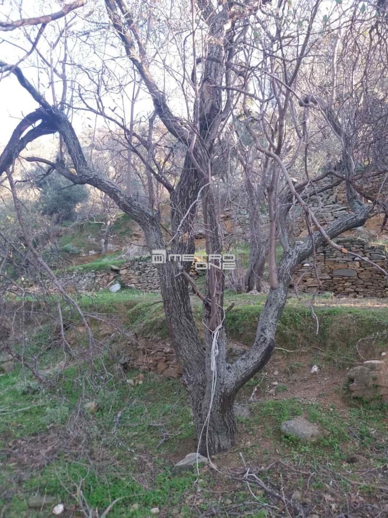 Building Plot in Chora, Andros — Photo 10 of 18
