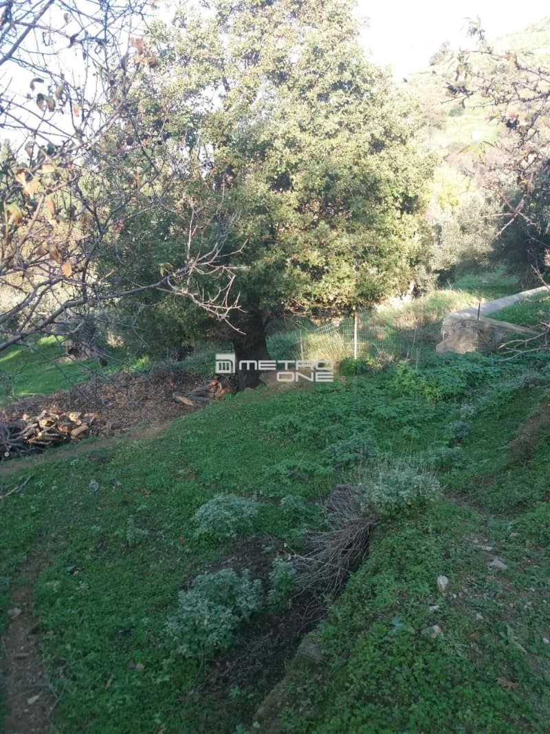 Building Plot in Chora, Andros — Photo 11 of 18