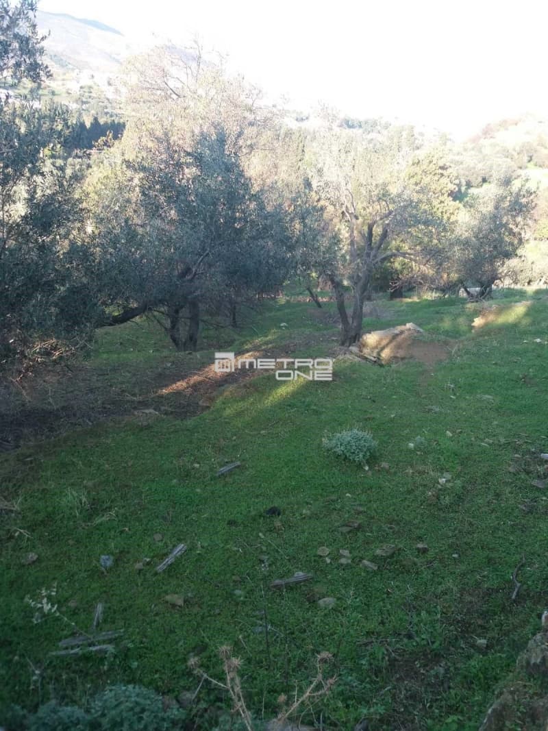Building Plot in Chora, Andros — Photo 13 of 18
