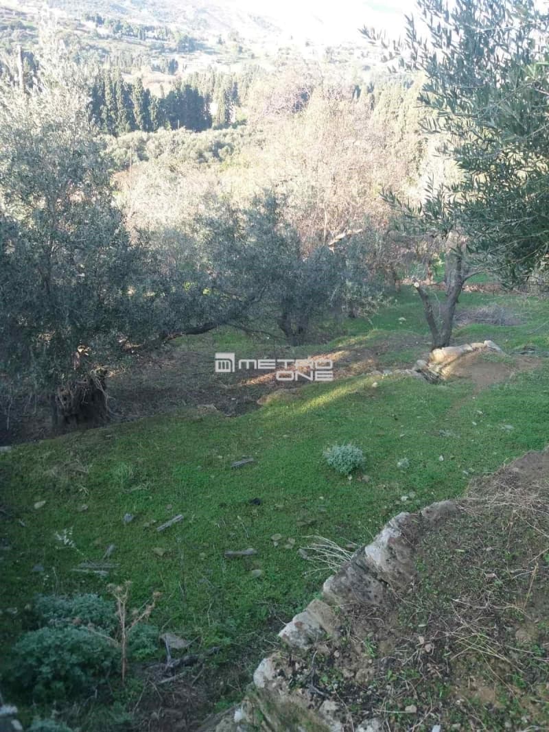 Building Plot in Chora, Andros — Photo 14 of 18