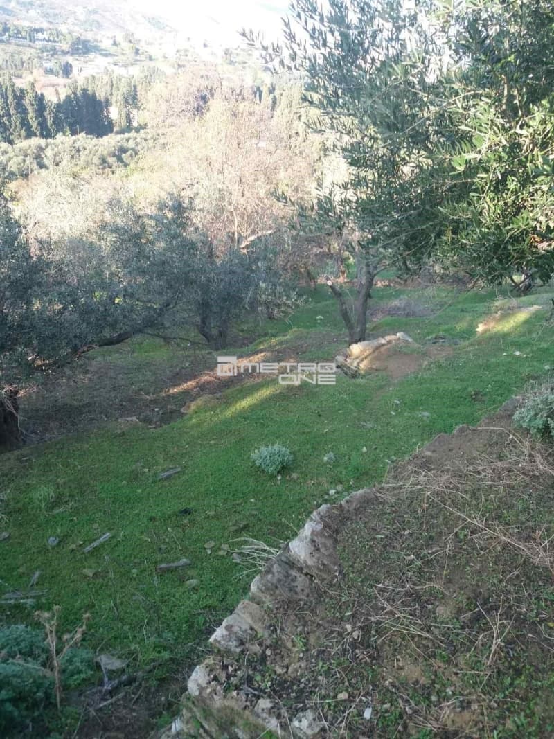 Building Plot in Chora, Andros — Photo 15 of 18