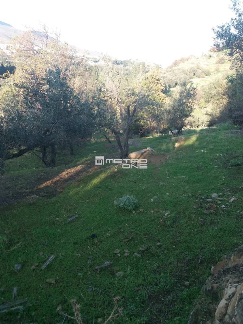 Building Plot in Chora, Andros — Photo 16 of 18