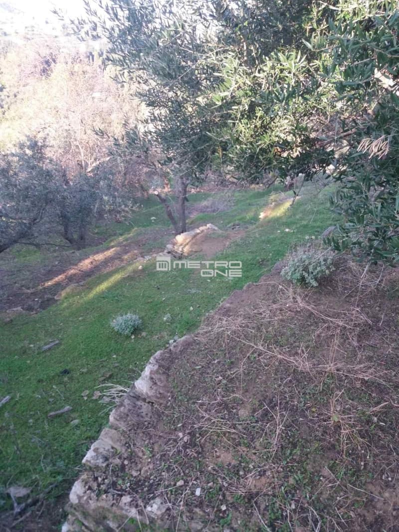Building Plot in Chora, Andros — Photo 18 of 18