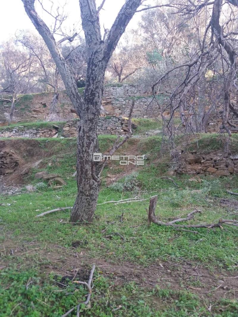 Building Plot in Chora, Andros — Photo 4 of 18