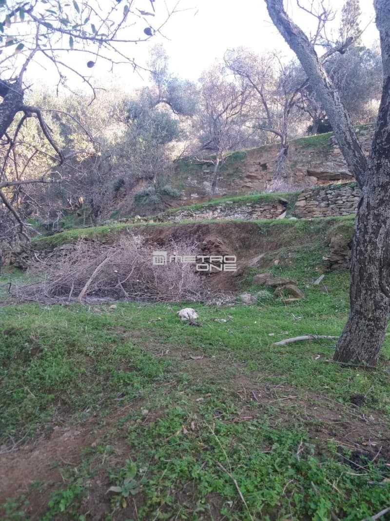 Building Plot in Chora, Andros — Photo 5 of 18