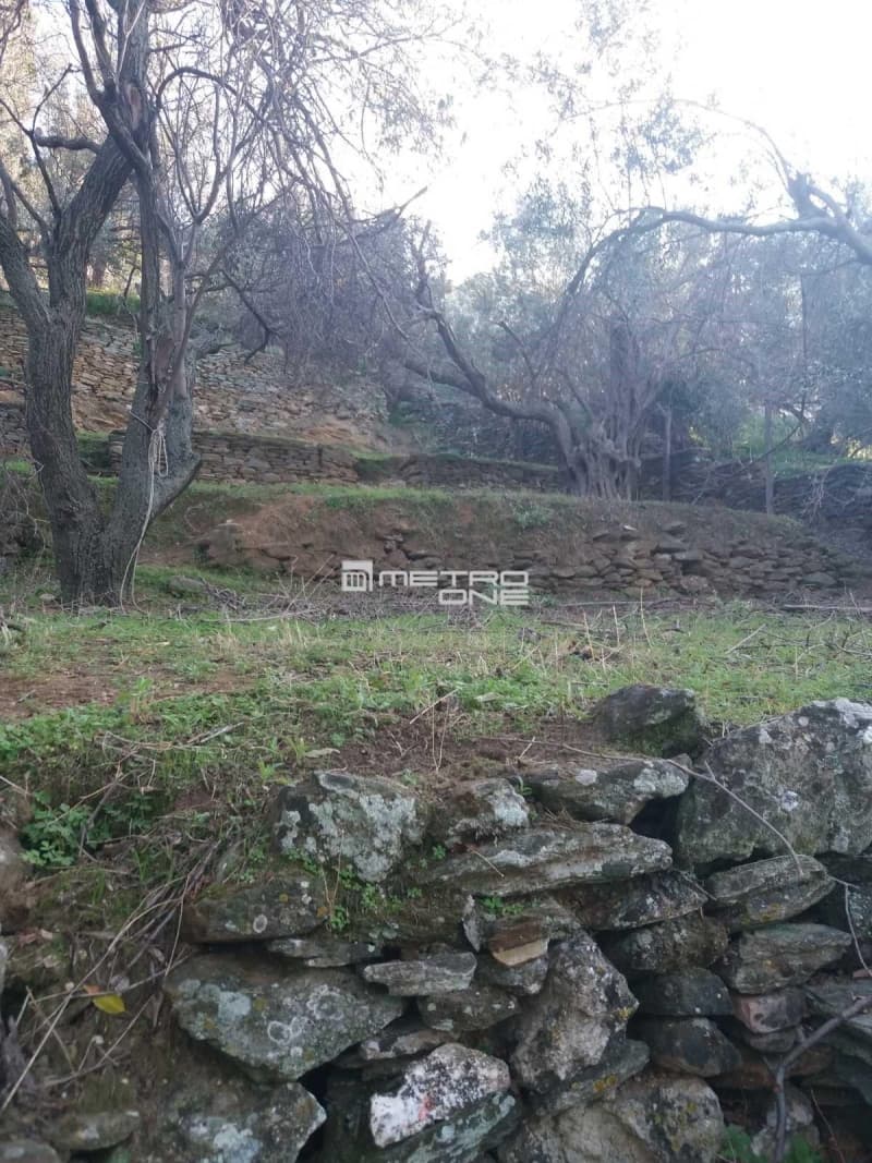 Building Plot in Chora, Andros — Photo 7 of 18