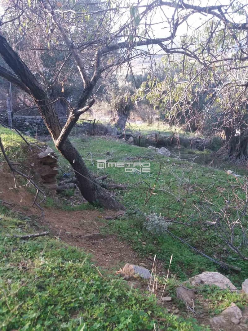 Building Plot in Chora, Andros — Photo 8 of 18