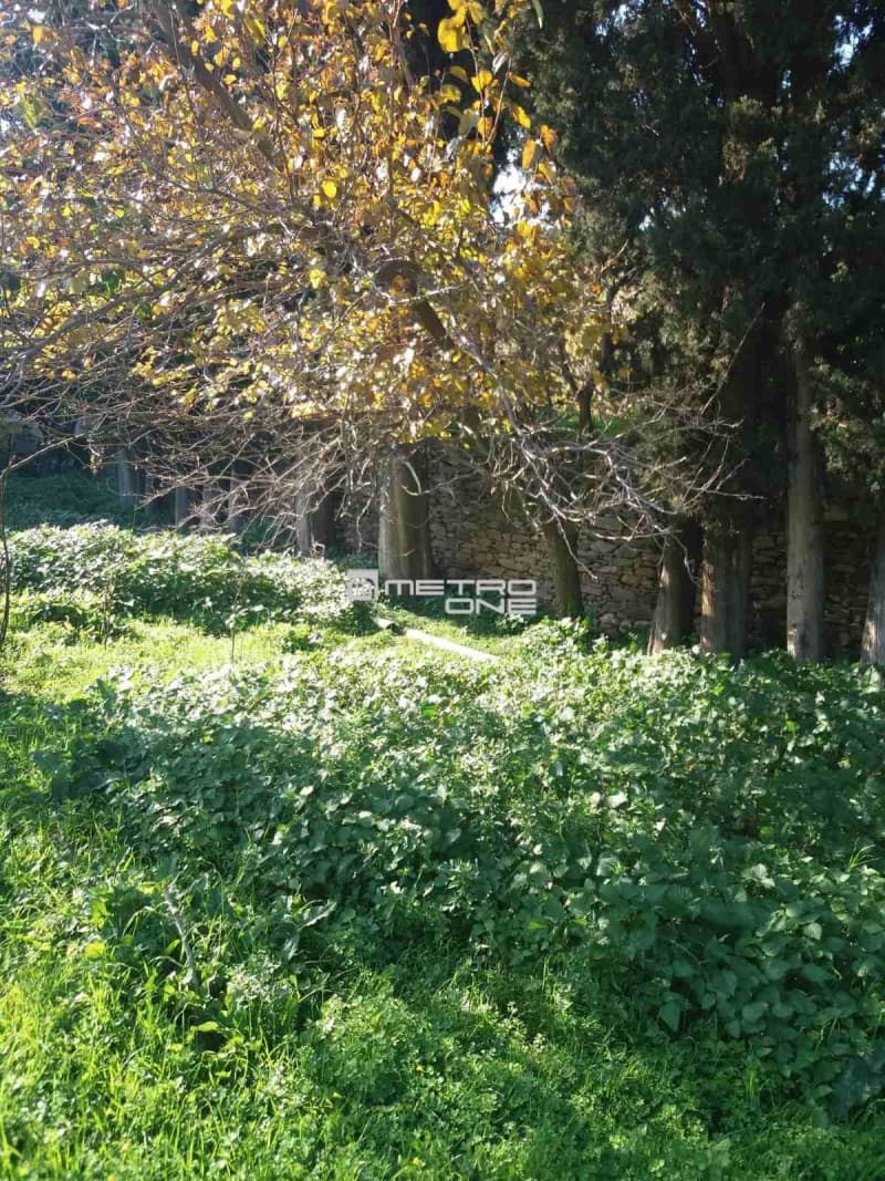 Building Plot in Lamira, Andros — Photo 9 of 20