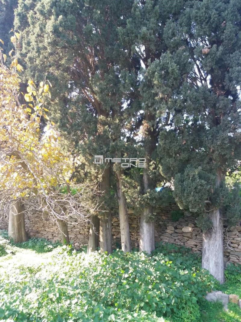 Building Plot in Lamira, Andros — Photo 11 of 20