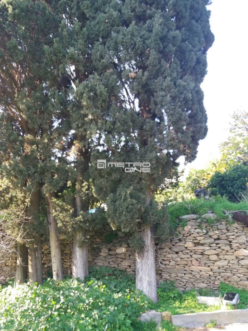 Building Plot in Lamira, Andros — Photo 12 of 20