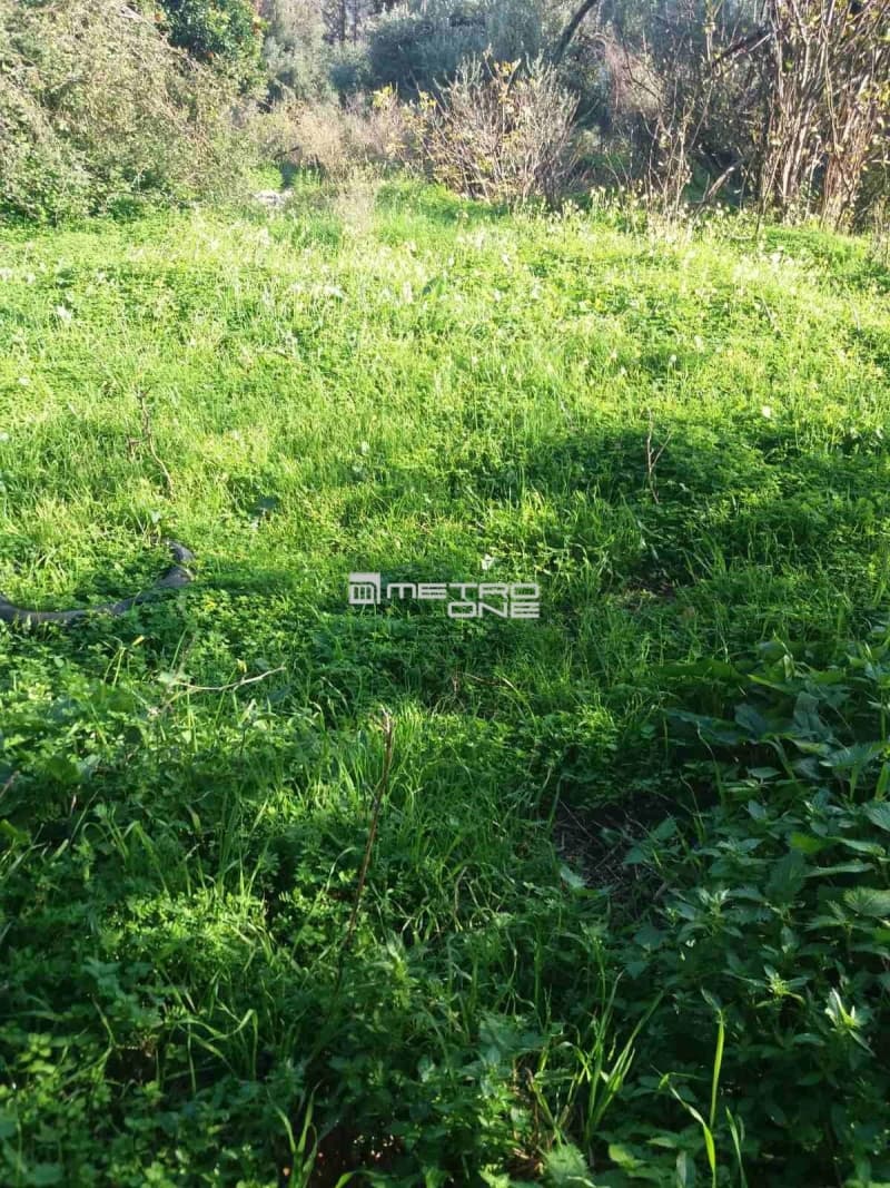 Building Plot in Lamira, Andros — Photo 14 of 20