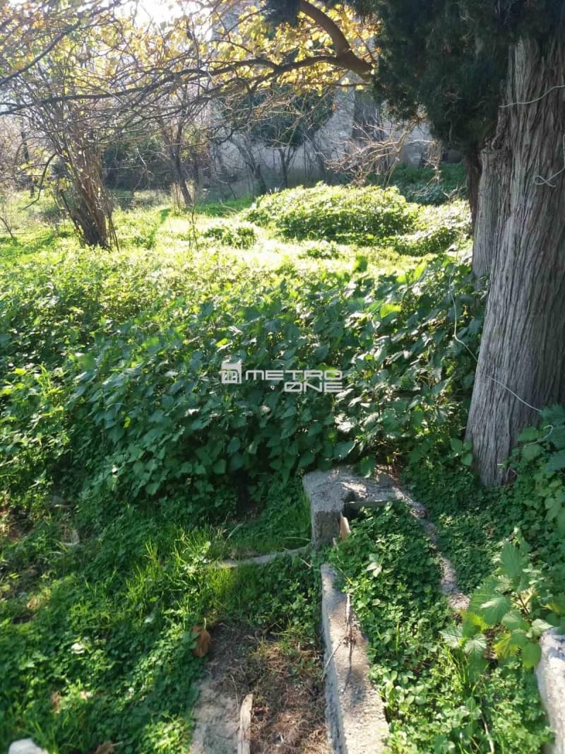 Building Plot in Lamira, Andros — Photo 15 of 20