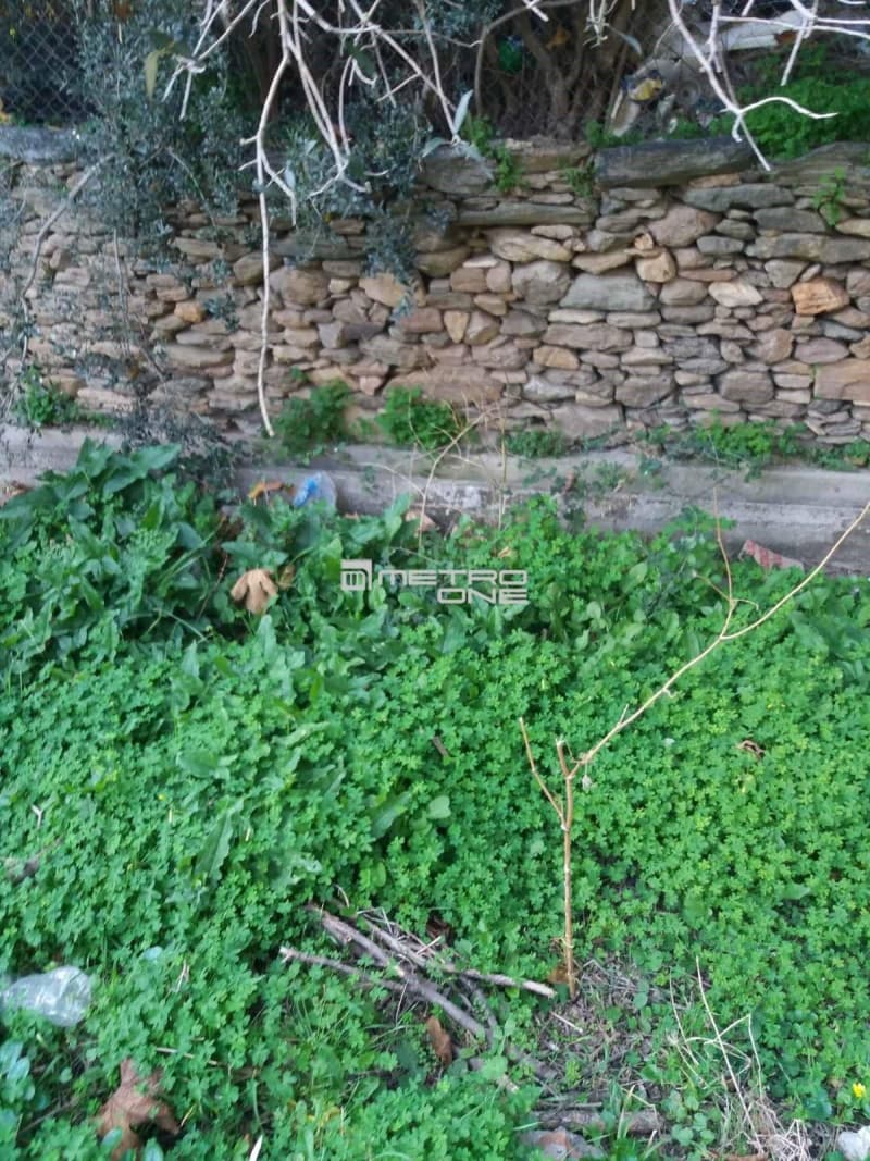 Building Plot in Lamira, Andros — Photo 17 of 20