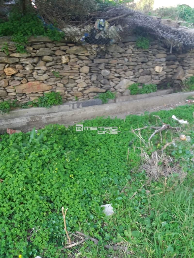 Building Plot in Lamira, Andros — Photo 18 of 20