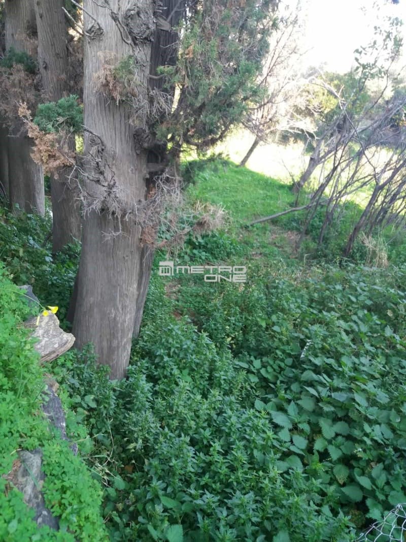 Building Plot in Lamira, Andros — Photo 3 of 20