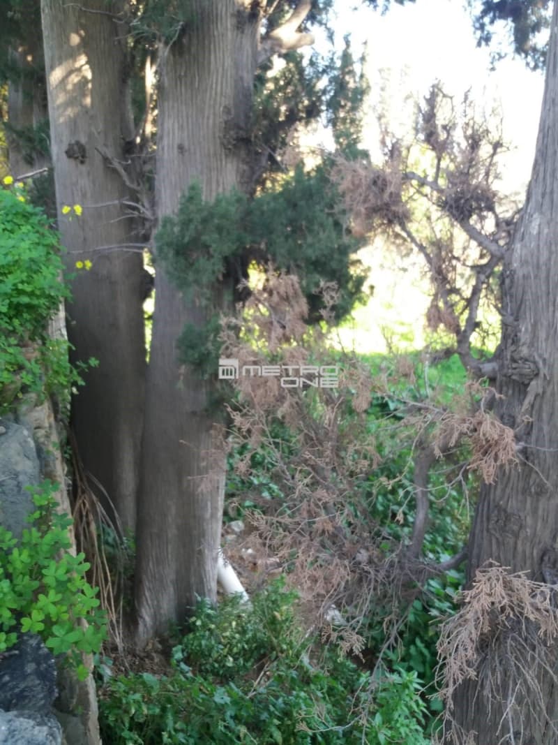 Building Plot in Lamira, Andros — Photo 4 of 20