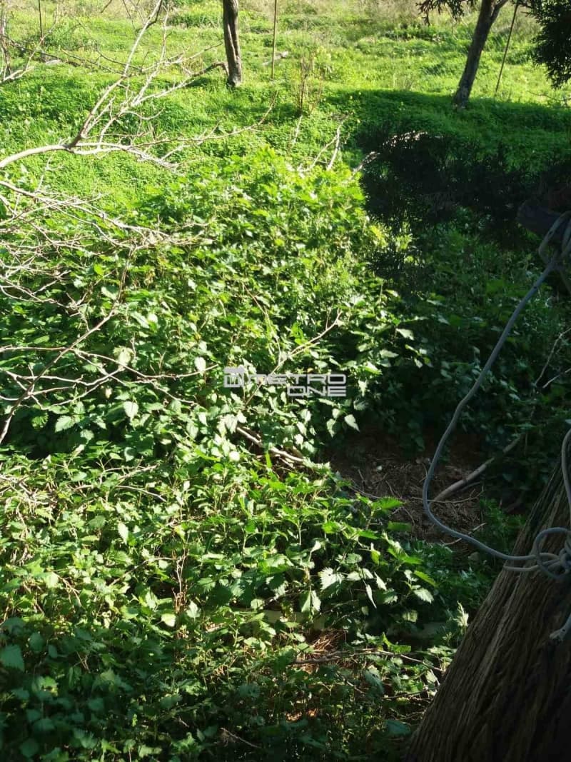 Building Plot in Lamira, Andros — Photo 5 of 20