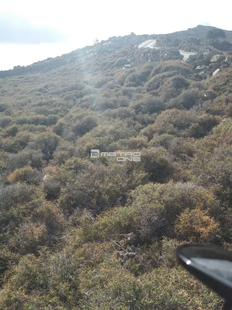 Parcel in Mpatsi, Andros — Photo 13 of 30