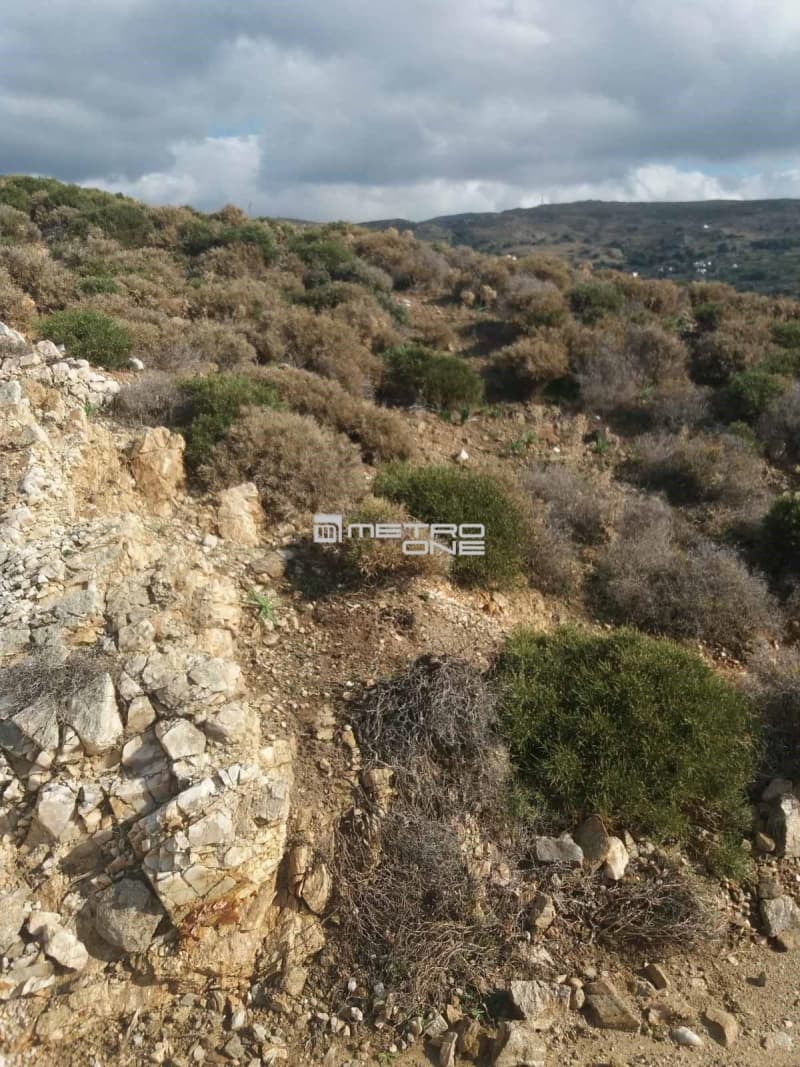 Parcel in Mpatsi, Andros — Photo 14 of 30