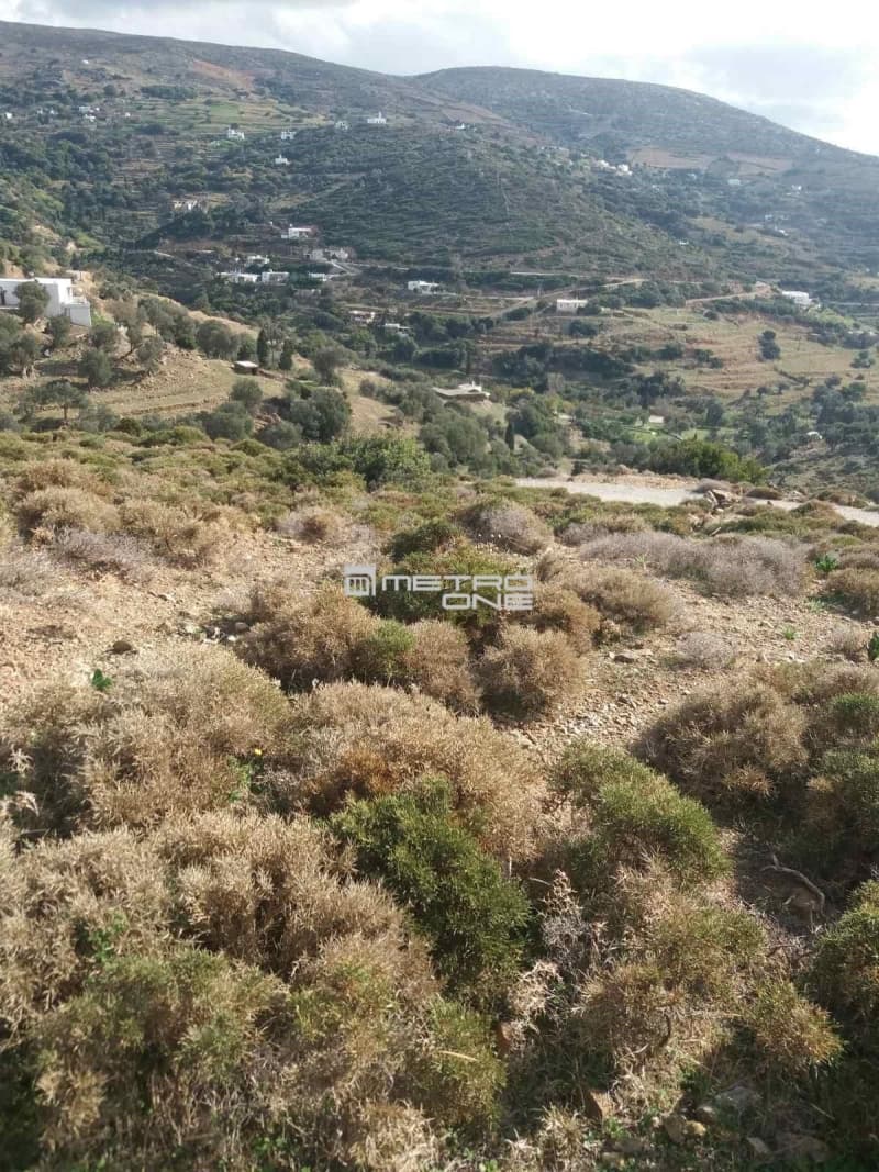 Parcel in Mpatsi, Andros — Photo 21 of 30