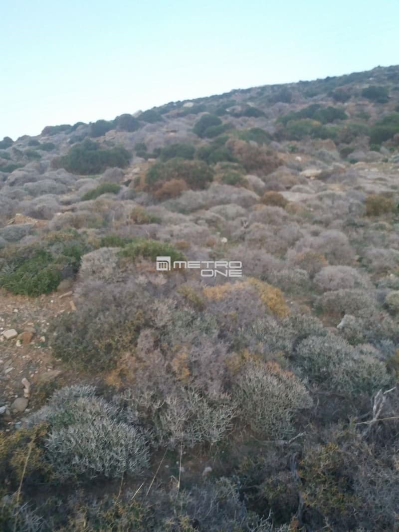Parcel in Mpatsi, Andros — Photo 23 of 30
