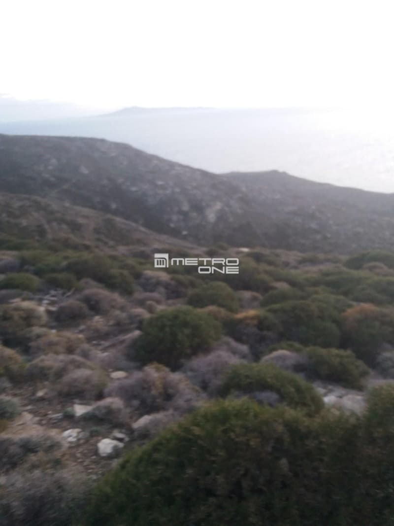 Parcel in Mpatsi, Andros — Photo 24 of 30
