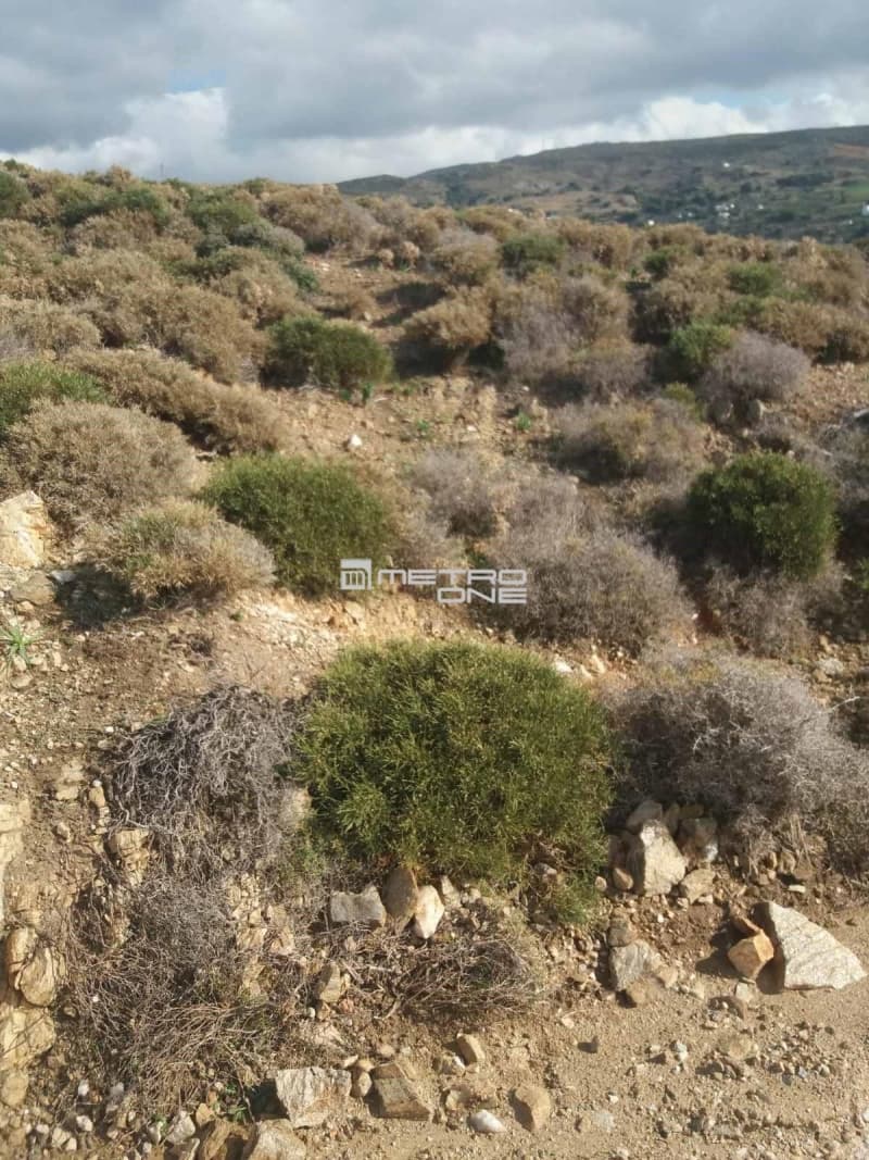 Parcel in Mpatsi, Andros — Photo 6 of 30