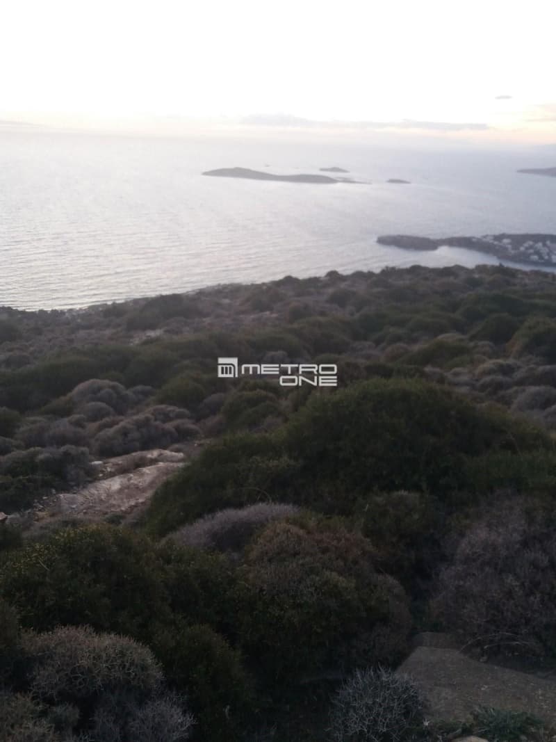 Parcel in Mpatsi, Andros — Photo 30 of 30