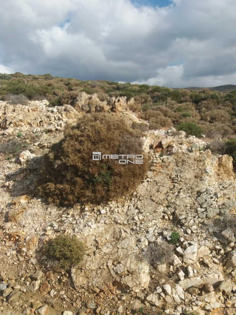 Parcel in Mpatsi, Andros — Photo 8 of 30