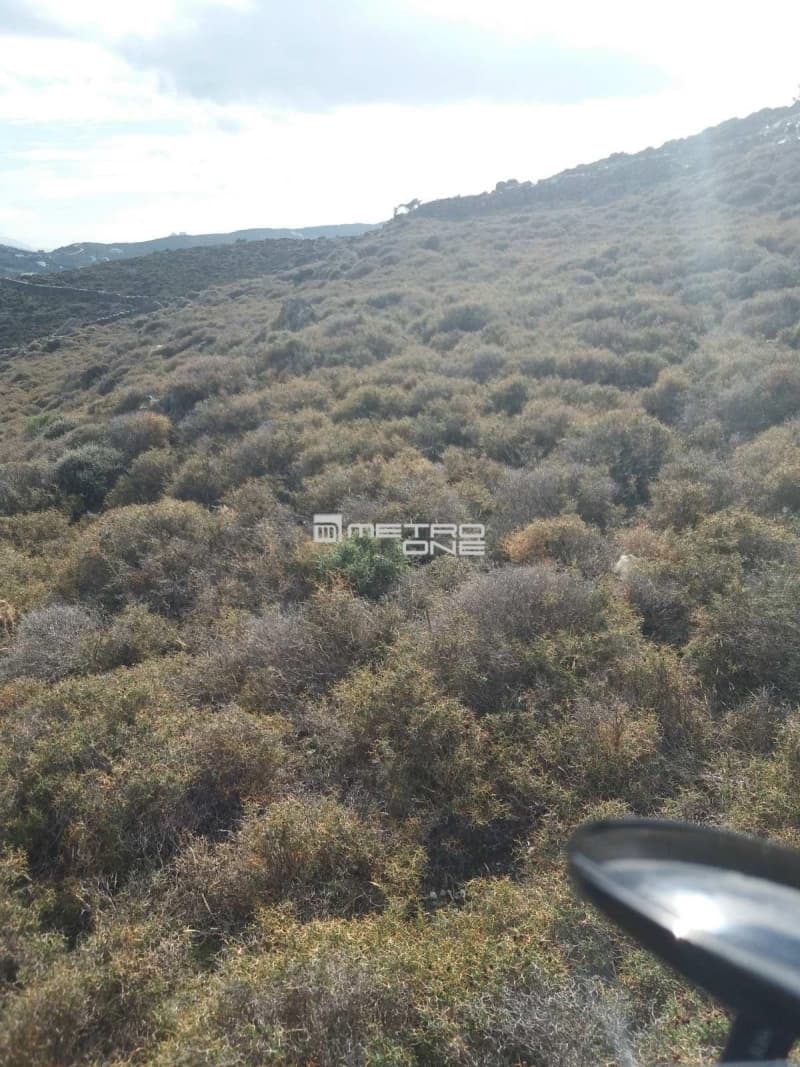 Parcel in Mpatsi, Andros — Photo 11 of 30