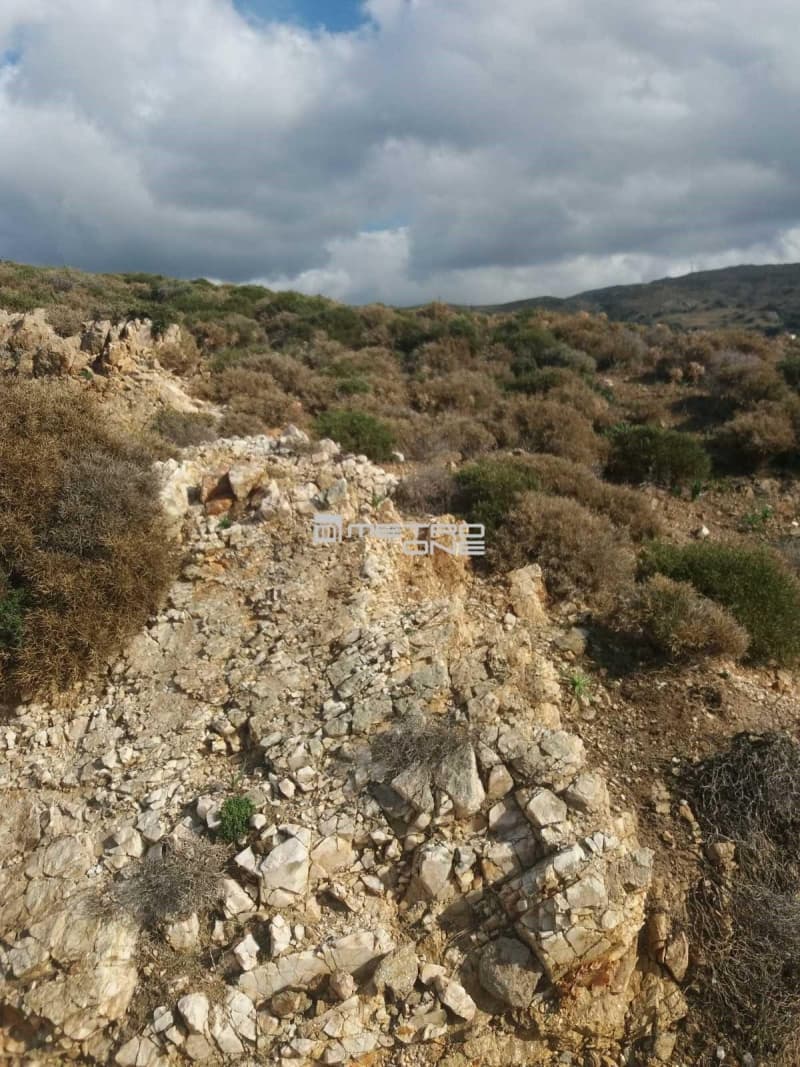 Parcel in Mpatsi, Andros — Photo 12 of 30