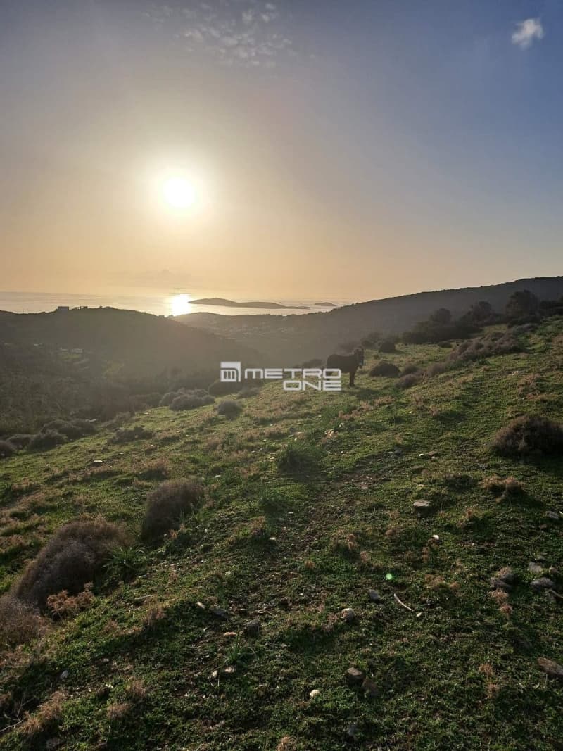 Parcel in Mpatsi, Andros — Photo 11 of 26