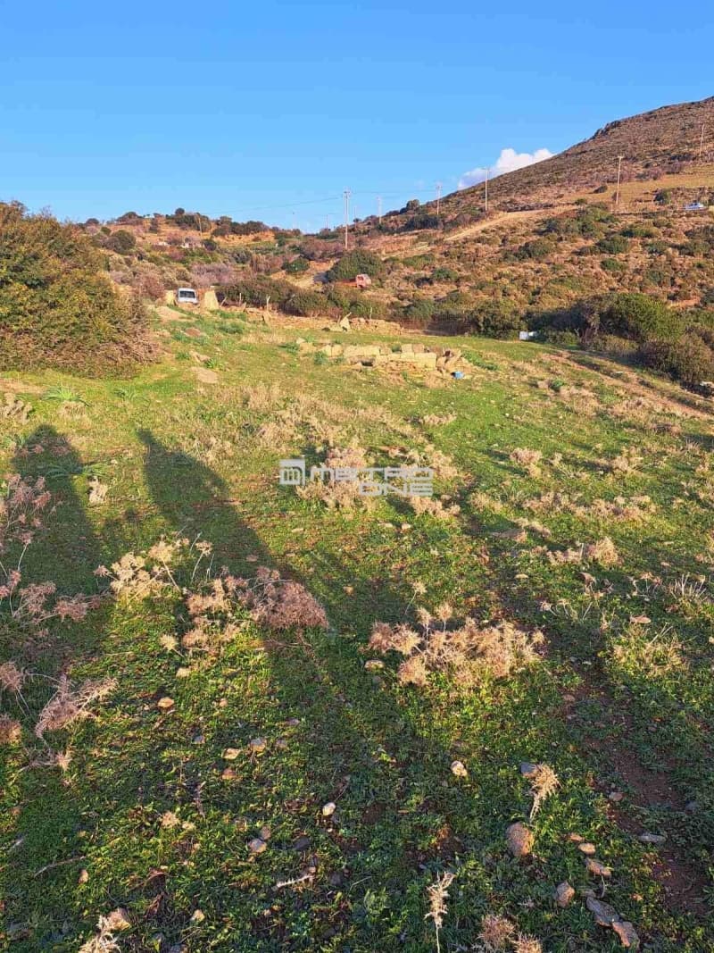 Parcel in Mpatsi, Andros — Photo 12 of 26