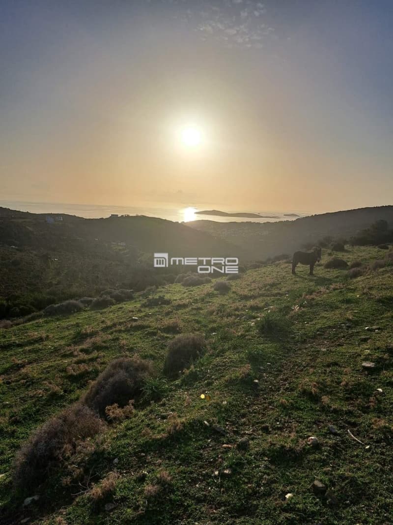 Parcel in Mpatsi, Andros — Photo 13 of 26