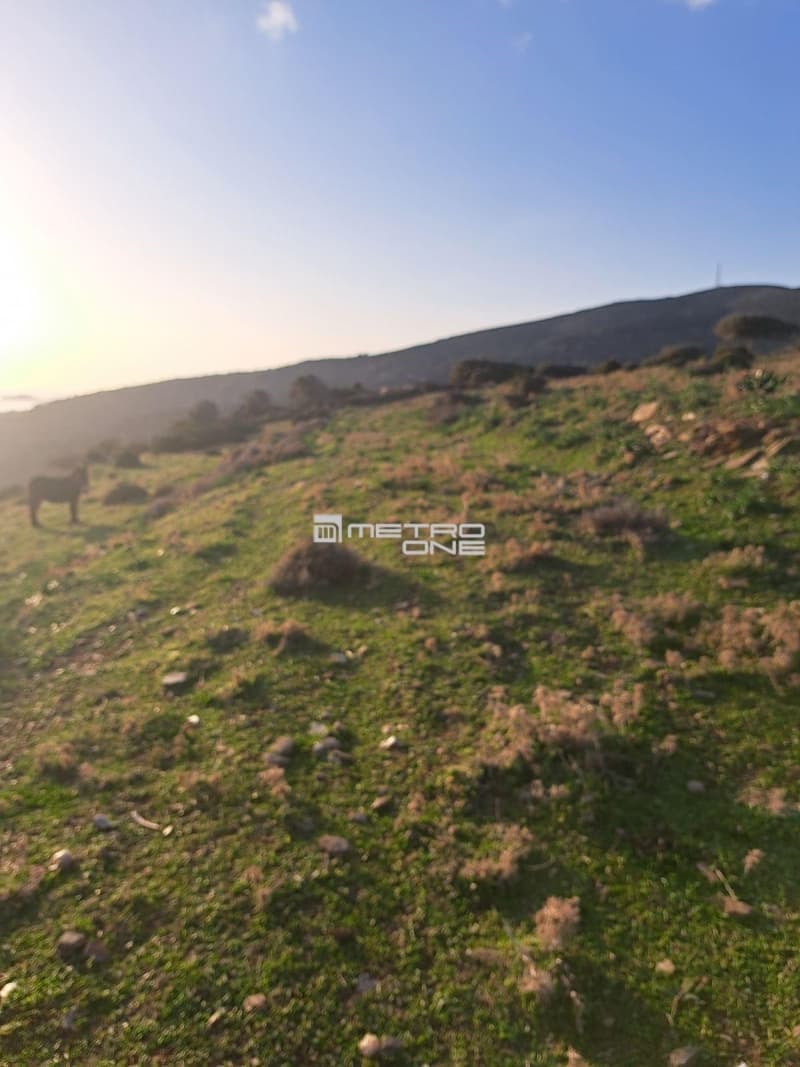 Parcel in Mpatsi, Andros — Photo 14 of 26