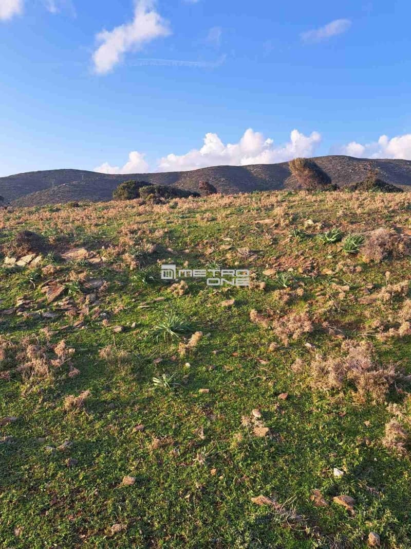 Parcel in Mpatsi, Andros — Photo 15 of 26
