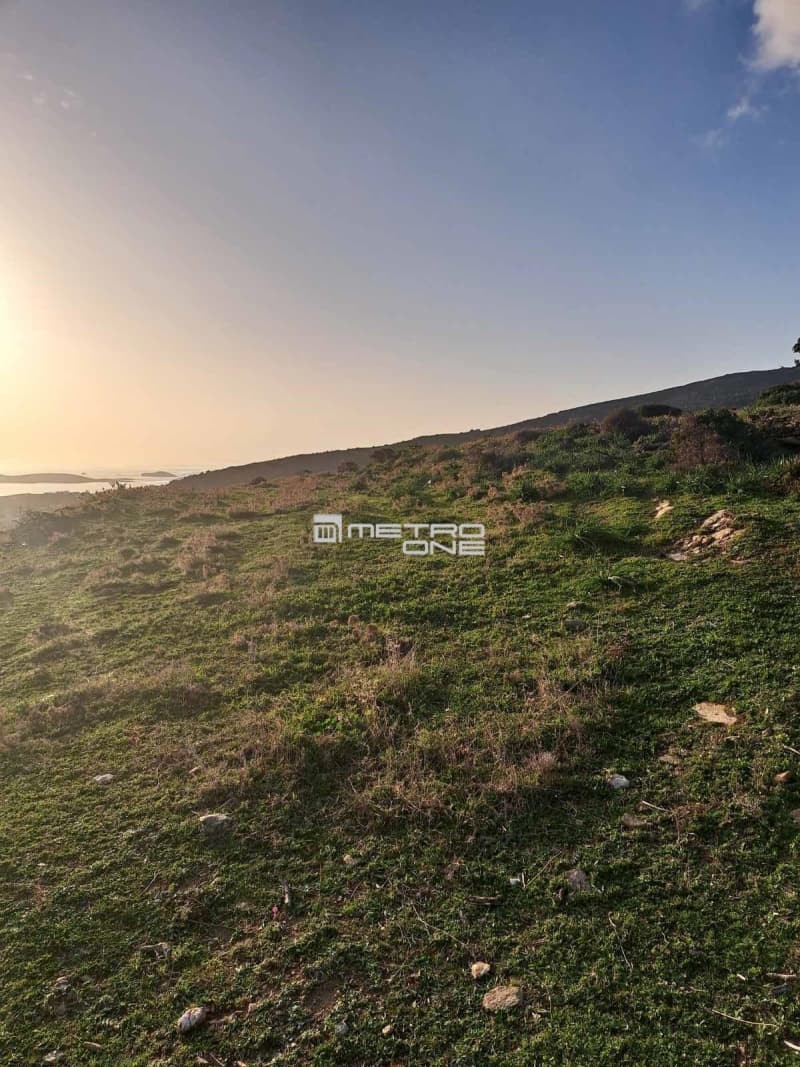 Parcel in Mpatsi, Andros — Photo 18 of 26