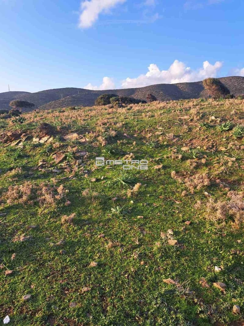 Parcel in Mpatsi, Andros — Photo 19 of 26