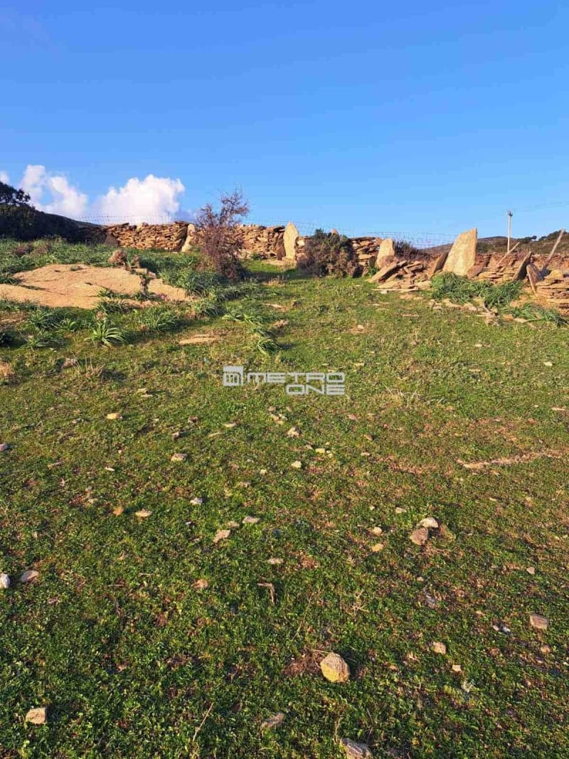 Parcel in Mpatsi, Andros — Photo 20 of 26