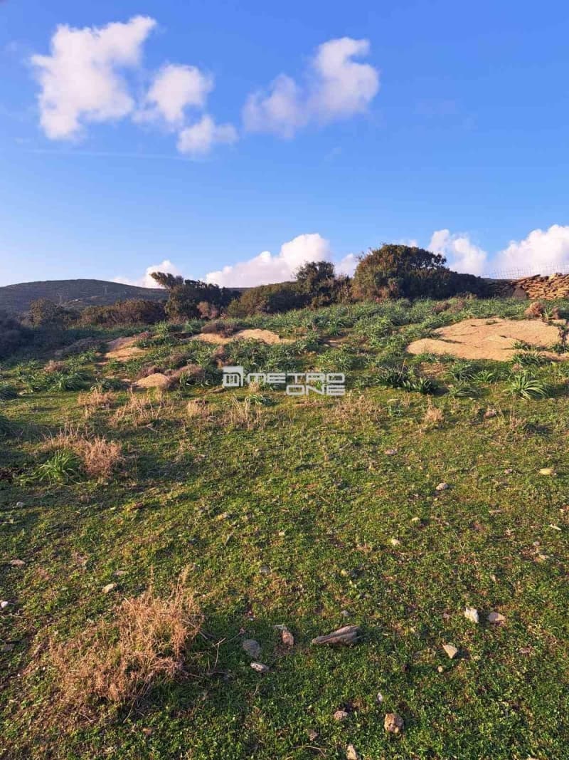 Parcel in Mpatsi, Andros — Photo 21 of 26