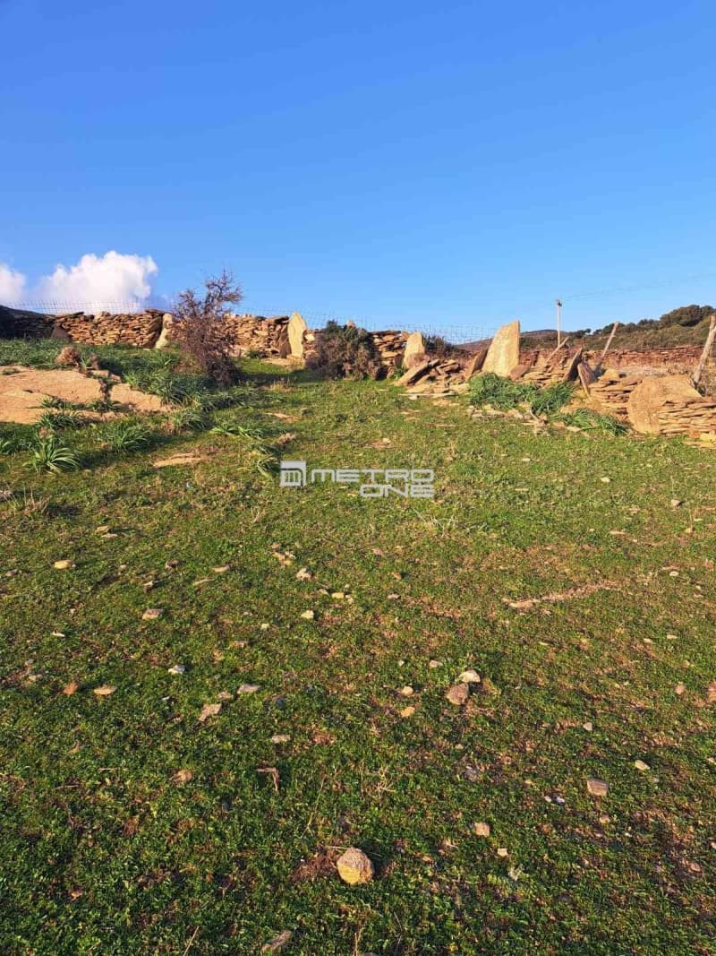 Parcel in Mpatsi, Andros — Photo 23 of 26