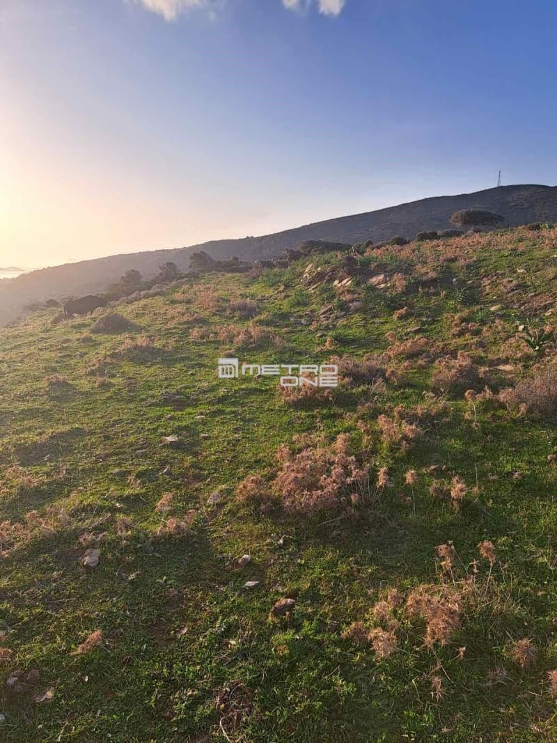 Parcel in Mpatsi, Andros — Photo 4 of 26